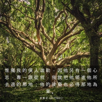 Picture 03 - 民 數 記 14:24 CUVT - 惟 獨 我 的 僕 人 迦 勒 ， 因 他 另 - Bible Verse Picture