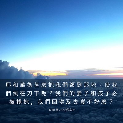 Picture 03 - 民 數 記 14:3 CUVT - 耶 和 華 為 甚 麼 把 我 們 領 到 那 - Bible Verse Picture