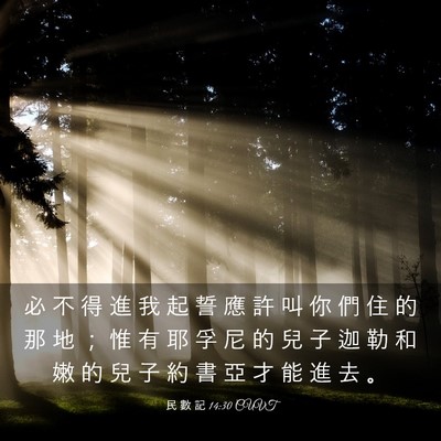 Picture 03 - 民 數 記 14:30 CUVT - 必 不 得 進 我 起 誓 應 許 叫 你 們 - Bible Verse Picture