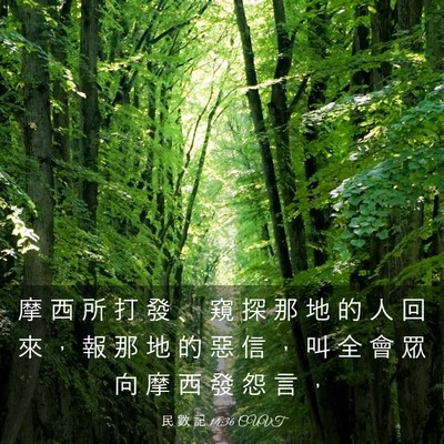 Picture 03 - 民 數 記 14:36 CUVT - 摩 西 所 打 發 、 窺 探 那 地 的 人 - Bible Verse Picture