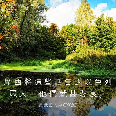 Picture 03 - 民 數 記 14:39 CUVT - 摩 西 將 這 些 話 告 訴 以 色 列 眾 - Bible Verse Picture