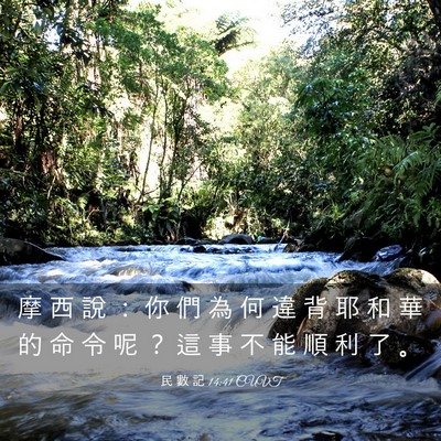 Picture 03 - 民 數 記 14:41 CUVT - 摩 西 說 ： 你 們 為 何 違 背 耶 和 - Bible Verse Picture