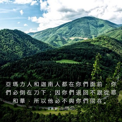 Picture 03 - 民 數 記 14:43 CUVT - 亞 瑪 力 人 和 迦 南 人 都 在 你 們 - Bible Verse Picture