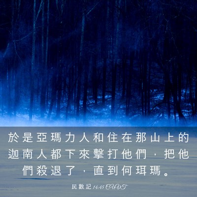 Picture 03 - 民 數 記 14:45 CUVT - 於 是 亞 瑪 力 人 和 住 在 那 山 上 - Bible Verse Picture