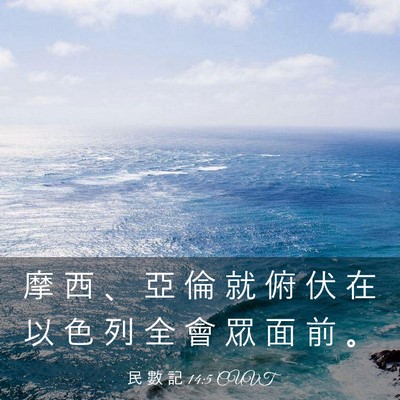 Picture 03 - 民 數 記 14:5 CUVT - 摩 西 、 亞 倫 就 俯 伏 在 以 色 列 - Bible Verse Picture