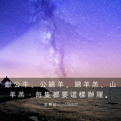 Picture 03 - 民 數 記 15:11 CUVT - 獻 公 牛 、 公 綿 羊 、 綿 羊 羔 、 - Bible Verse Picture