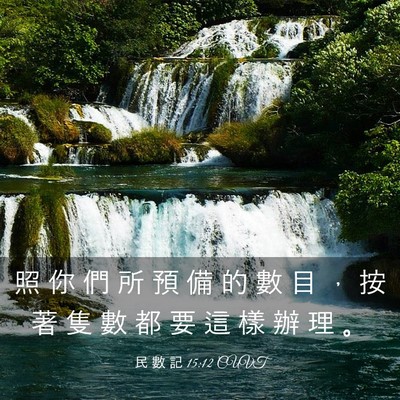 Picture 03 - 民 數 記 15:12 CUVT - 照 你 們 所 預 備 的 數 目 ， 按 著 - Bible Verse Picture
