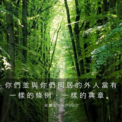 Picture 03 - 民 數 記 15:16 CUVT - 你 們 並 與 你 們 同 居 的 外 人 當 - Bible Verse Picture