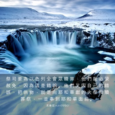 Picture 03 - 民 數 記 15:25 CUVT - 祭 司 要 為 以 色 列 全 會 眾 贖 罪 - Bible Verse Picture