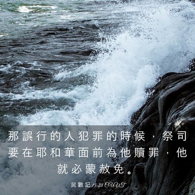 Picture 03 - 民 數 記 15:28 CUVT - 那 誤 行 的 人 犯 罪 的 時 候 ， 祭 - Bible Verse Picture