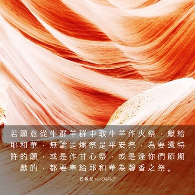 Picture 03 - 民 數 記 15:3 CUVT - 若 願 意 從 牛 群 羊 群 中 取 牛 羊 - Bible Verse Picture