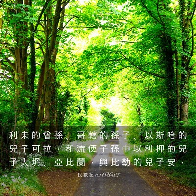 Picture 03 - 民 數 記 16:1 CUVT - 利 未 的 曾 孫 、 哥 轄 的 孫 子 、 - Bible Verse Picture