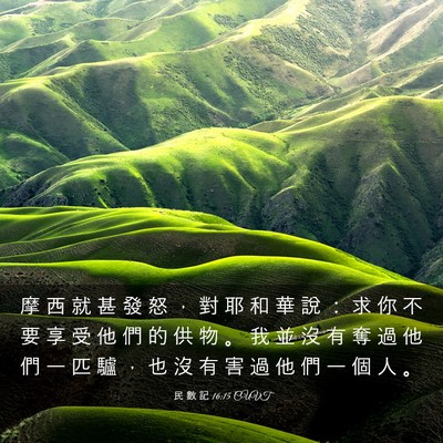 Picture 03 - 民 數 記 16:15 CUVT - 摩 西 就 甚 發 怒 ， 對 耶 和 華 說 - Bible Verse Picture