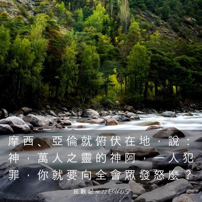 Picture 03 - 民 數 記 16:22 CUVT - 摩 西 、 亞 倫 就 俯 伏 在 地 ， 說 - Bible Verse Picture
