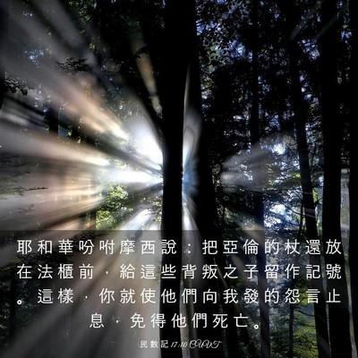 Picture 03 - 民 數 記 17:10 CUVT - 耶 和 華 吩 咐 摩 西 說 ： 把 亞 倫 - Bible Verse Picture