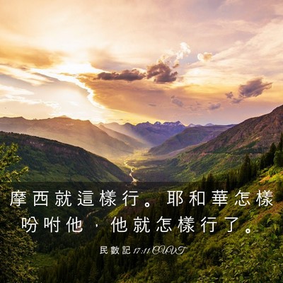Picture 03 - 民 數 記 17:11 CUVT - 摩 西 就 這 樣 行 。 耶 和 華 怎 樣 - Bible Verse Picture