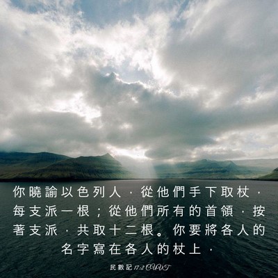 Picture 03 - 民 數 記 17:2 CUVT - 你 曉 諭 以 色 列 人 ， 從 他 們 手 - Bible Verse Picture