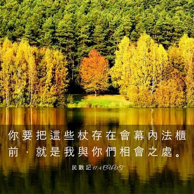 Picture 03 - 民 數 記 17:4 CUVT - 你 要 把 這 些 杖 存 在 會 幕 內 法 - Bible Verse Picture