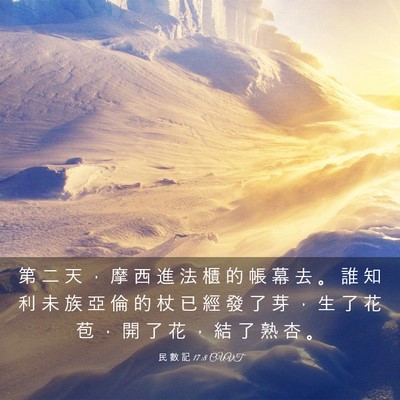 Picture 03 - 民 數 記 17:8 CUVT - 第 二 天 ， 摩 西 進 法 櫃 的 帳 幕 - Bible Verse Picture