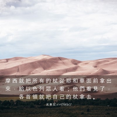 Picture 03 - 民 數 記 17:9 CUVT - 摩 西 就 把 所 有 的 杖 從 耶 和 華 - Bible Verse Picture