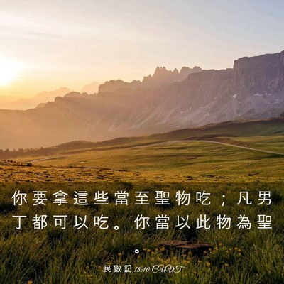 Picture 03 - 民 數 記 18:10 CUVT - 你 要 拿 這 些 當 至 聖 物 吃 ； 凡 - Bible Verse Picture