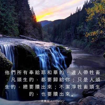 Picture 03 - 民 數 記 18:15 CUVT - 他 們 所 有 奉 給 耶 和 華 的 ， 連 - Bible Verse Picture