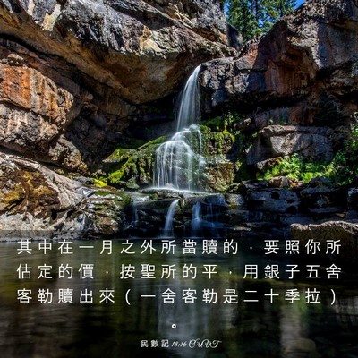Picture 03 - 民 數 記 18:16 CUVT - 其 中 在 一 月 之 外 所 當 贖 的 ， - Bible Verse Picture