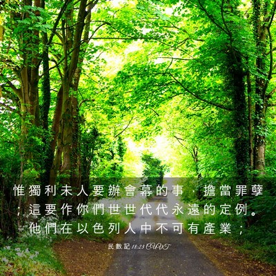 Picture 03 - 民 數 記 18:23 CUVT - 惟 獨 利 未 人 要 辦 會 幕 的 事 ， - Bible Verse Picture