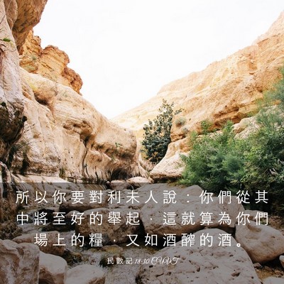 Picture 03 - 民 數 記 18:30 CUVT - 所 以 你 要 對 利 未 人 說 ： 你 們 - Bible Verse Picture