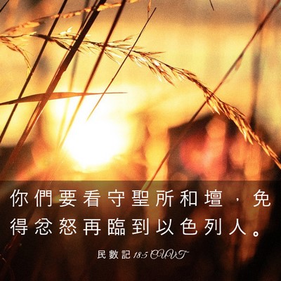 Picture 03 - 民 數 記 18:5 CUVT - 你 們 要 看 守 聖 所 和 壇 ， 免 得 - Bible Verse Picture