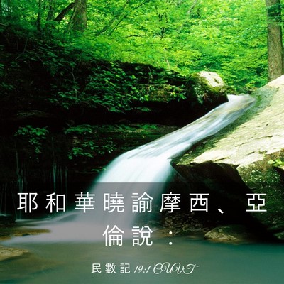 Picture 03 - 民 數 記 19:1 CUVT - 耶 和 華 曉 諭 摩 西 、 亞 倫 說 - Bible Verse Picture