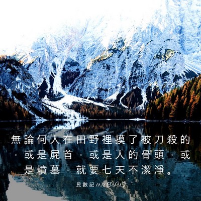 Picture 03 - 民 數 記 19:16 CUVT - 無 論 何 人 在 田 野 裡 摸 了 被 刀 - Bible Verse Picture