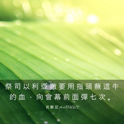 Picture 03 - 民 數 記 19:4 CUVT - 祭 司 以 利 亞 撒 要 用 指 頭 蘸 這 - Bible Verse Picture