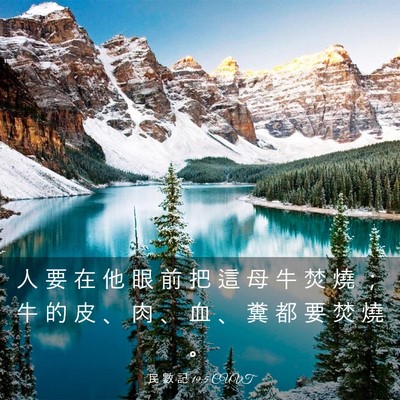 Picture 03 - 民 數 記 19:5 CUVT - 人 要 在 他 眼 前 把 這 母 牛 焚 燒 - Bible Verse Picture