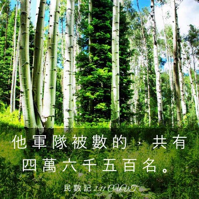 Picture 03 - 民 數 記 2:11 CUVT - 他 軍 隊 被 數 的 ， 共 有 四 萬 六 - Bible Verse Picture