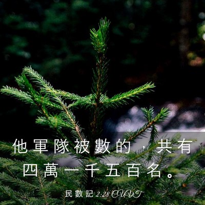 Picture 03 - 民 數 記 2:28 CUVT - 他 軍 隊 被 數 的 ， 共 有 四 萬 一 - Bible Verse Picture
