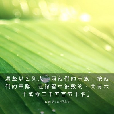 Picture 03 - 民 數 記 2:32 CUVT - 這 些 以 色 列 人 ， 照 他 們 的 宗 - Bible Verse Picture