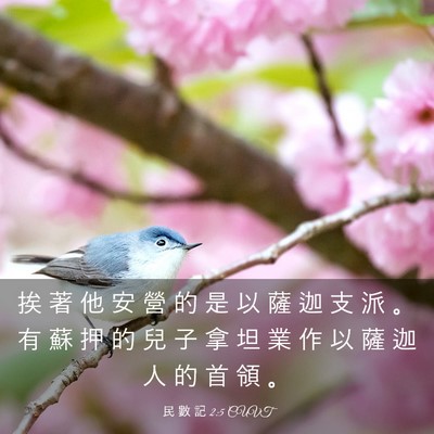 Picture 03 - 民 數 記 2:5 CUVT - 挨 著 他 安 營 的 是 以 薩 迦 支 派 - Bible Verse Picture