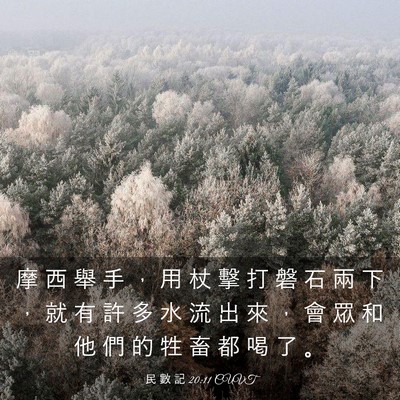 Picture 03 - 民 數 記 20:11 CUVT - 摩 西 舉 手 ， 用 杖 擊 打 磐 石 兩 - Bible Verse Picture