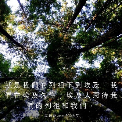 Picture 03 - 民 數 記 20:15 CUVT - 就 是 我 們 的 列 祖 下 到 埃 及 ， - Bible Verse Picture
