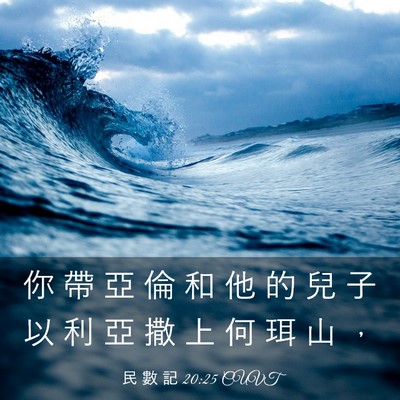 Picture 03 - 民 數 記 20:25 CUVT - 你 帶 亞 倫 和 他 的 兒 子 以 利 亞 - Bible Verse Picture