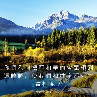 Picture 03 - 民 數 記 20:4 CUVT - 你 們 為 何 把 耶 和 華 的 會 眾 領 - Bible Verse Picture