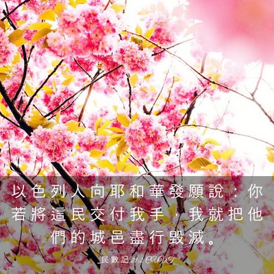Picture 03 - 民 數 記 21:2 CUVT - 以 色 列 人 向 耶 和 華 發 願 說 ： - Bible Verse Picture