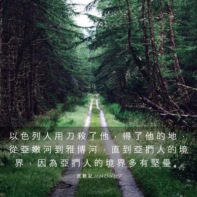 Picture 03 - 民 數 記 21:24 CUVT - 以 色 列 人 用 刀 殺 了 他 ， 得 了 - Bible Verse Picture
