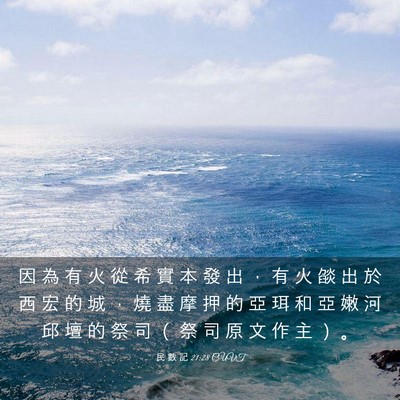 Picture 03 - 民 數 記 21:28 CUVT - 因 為 有 火 從 希 實 本 發 出 ， 有 - Bible Verse Picture