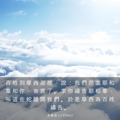 Picture 03 - 民 數 記 21:7 CUVT - 百 姓 到 摩 西 那 裡 ， 說 ： 我 們 - Bible Verse Picture