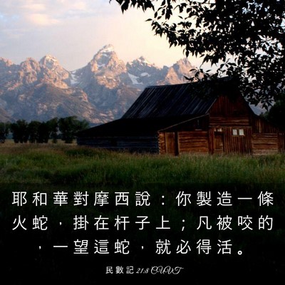 Picture 03 - 民 數 記 21:8 CUVT - 耶 和 華 對 摩 西 說 ： 你 製 造 一 - Bible Verse Picture