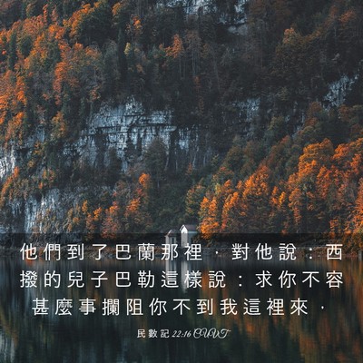 Picture 03 - 民 數 記 22:16 CUVT - 他 們 到 了 巴 蘭 那 裡 ， 對 他 說 - Bible Verse Picture