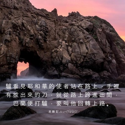 Picture 03 - 民 數 記 22:23 CUVT - 驢 看 見 耶 和 華 的 使 者 站 在 路 - Bible Verse Picture