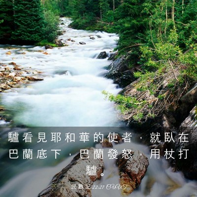 Picture 03 - 民 數 記 22:27 CUVT - 驢 看 見 耶 和 華 的 使 者 ， 就 臥 - Bible Verse Picture